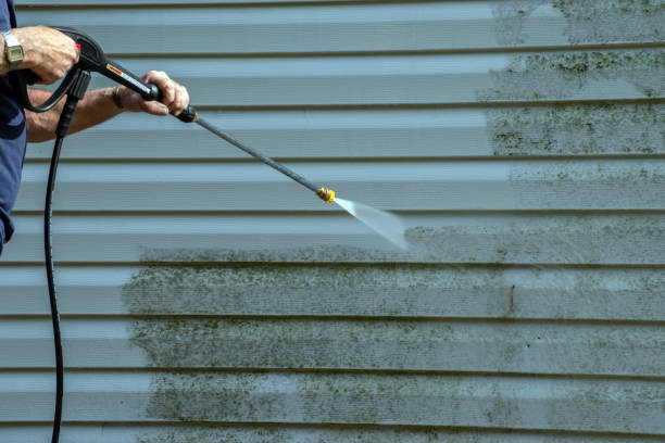 Best Window and Screen Pressure Cleaning in Bainbridge, GA